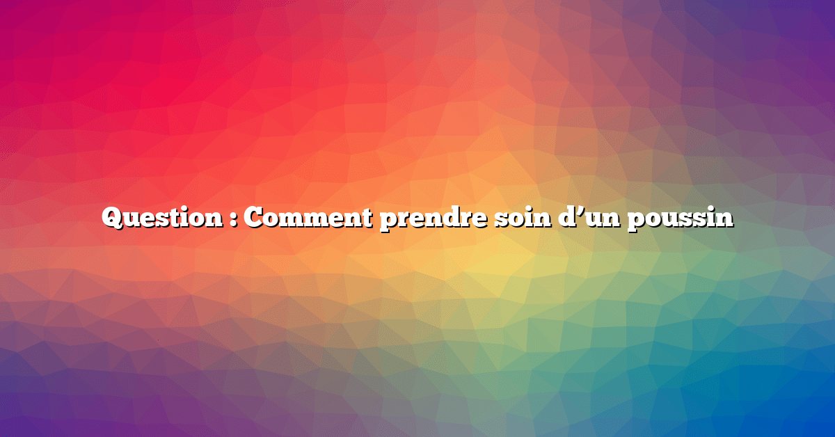 Question : Comment prendre soin d’un poussin